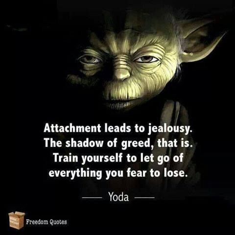 iamthreeletters's tweet photo. Wisdom! #yoda #yoga #yogi #namaste #love #light #shine #truttheprocess #shareyourshine #gratitude #yogadowndabayou https://t.co/8BLXRqUD66 https://t.co/cKEZpJBeyi