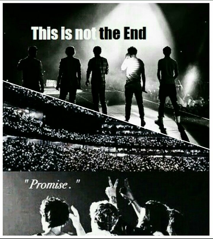 1d: "This is not the end"
us: "Promise?"
1d: "PROMISE."

#7YearsOfOneDirection