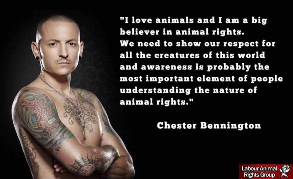 Protect_Wldlife's tweet image. R.I.P. Animal Warrior Chester Bennington. Animal rights has lost a stalwart! @ChesterBe