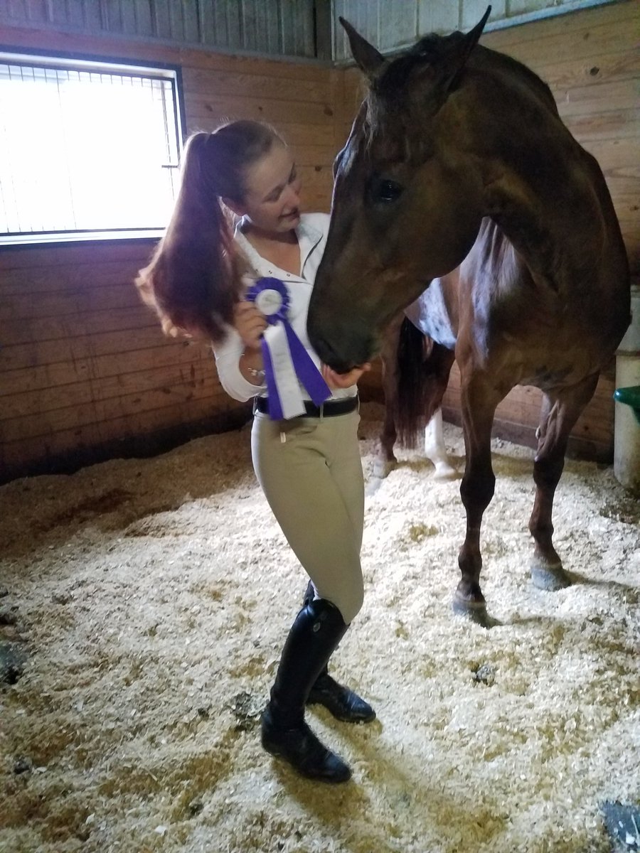 everfucked's tweet image. Donald gave me a wonderful return to the 3ft ring. I couldn't have ask for a better day! Thanks to @PerfeqtStride for hanging out!😊🐴