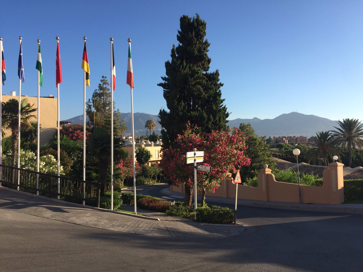 ella higgins tweet media