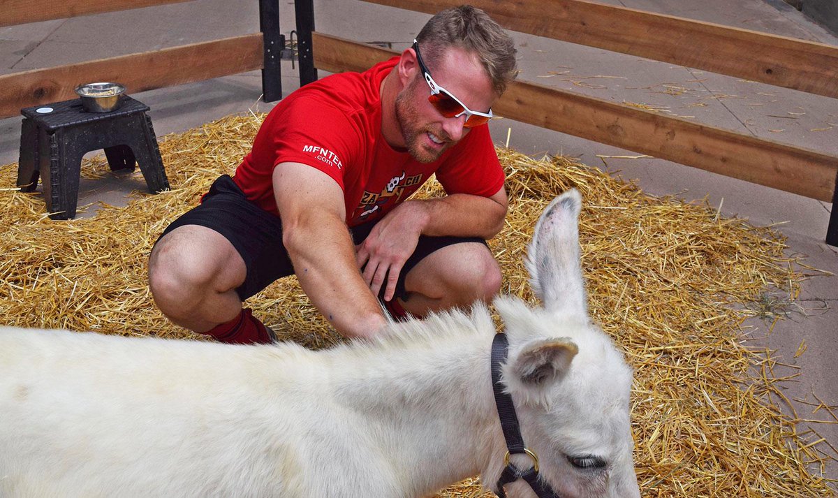 Reds's tweet photo. The Cozart family donkey has a name and his name is...Donald!

Named after Donald Duck, Cooper's favorite cartoon character. https://t.co/ECmqVay95p
