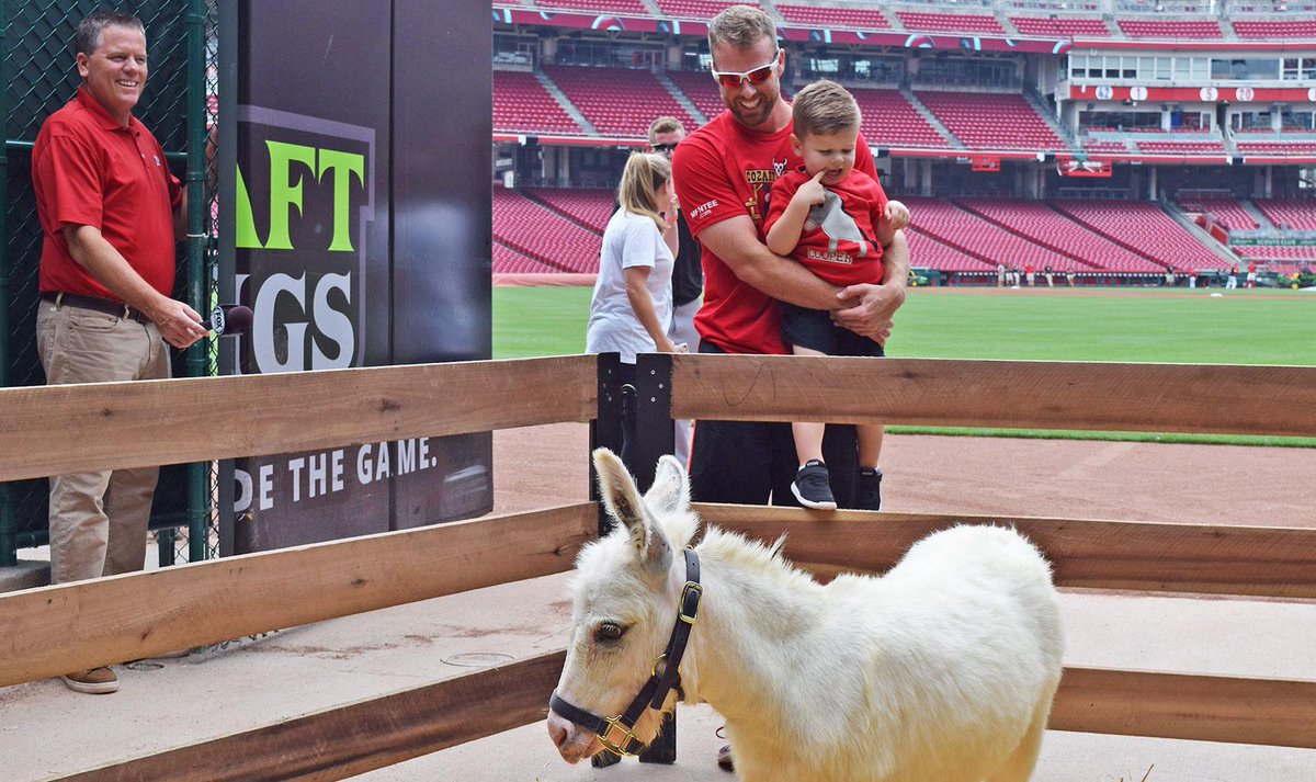 Reds's tweet photo. The Cozart family donkey has a name and his name is...Donald!

Named after Donald Duck, Cooper's favorite cartoon character. https://t.co/ECmqVay95p
