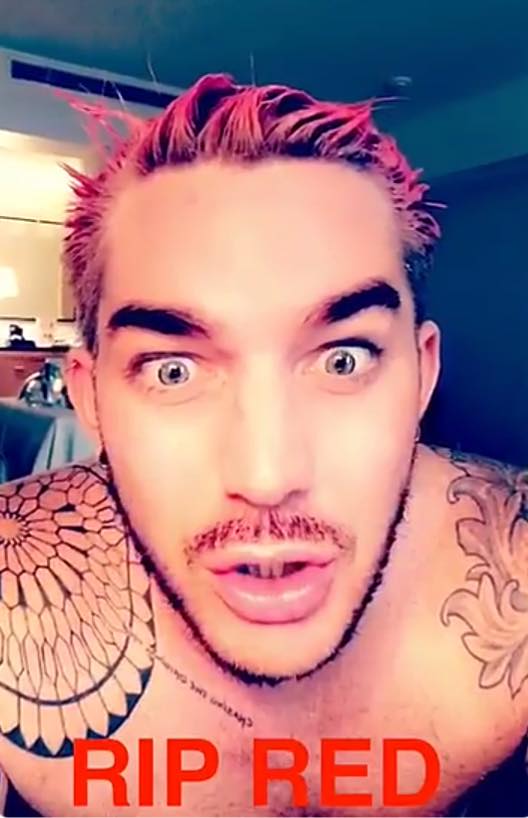 FoxVegas's tweet photo. SNAPCHATTERY! ADAM'S RED NO LONGER!
@adamlambert #adamlambert #ripred #bleachitout #bleachitaway #bleachitoutbaby https://t.co/36FPfhxrYG https://t.co/xhh1Vmiy43