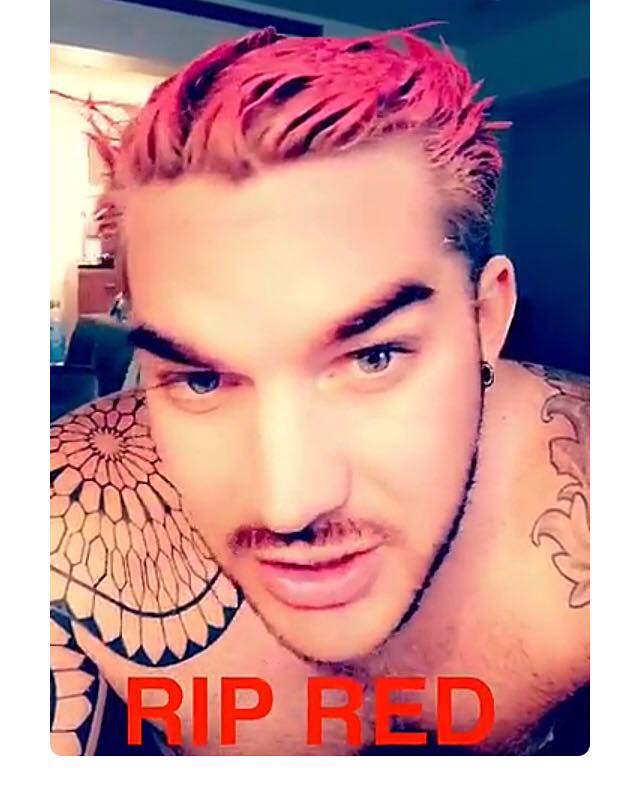 FoxVegas's tweet photo. SNAPCHATTERY! ADAM'S RED NO LONGER!
@adamlambert #adamlambert #ripred #bleachitout #bleachitaway #bleachitoutbaby https://t.co/36FPfhxrYG https://t.co/xhh1Vmiy43