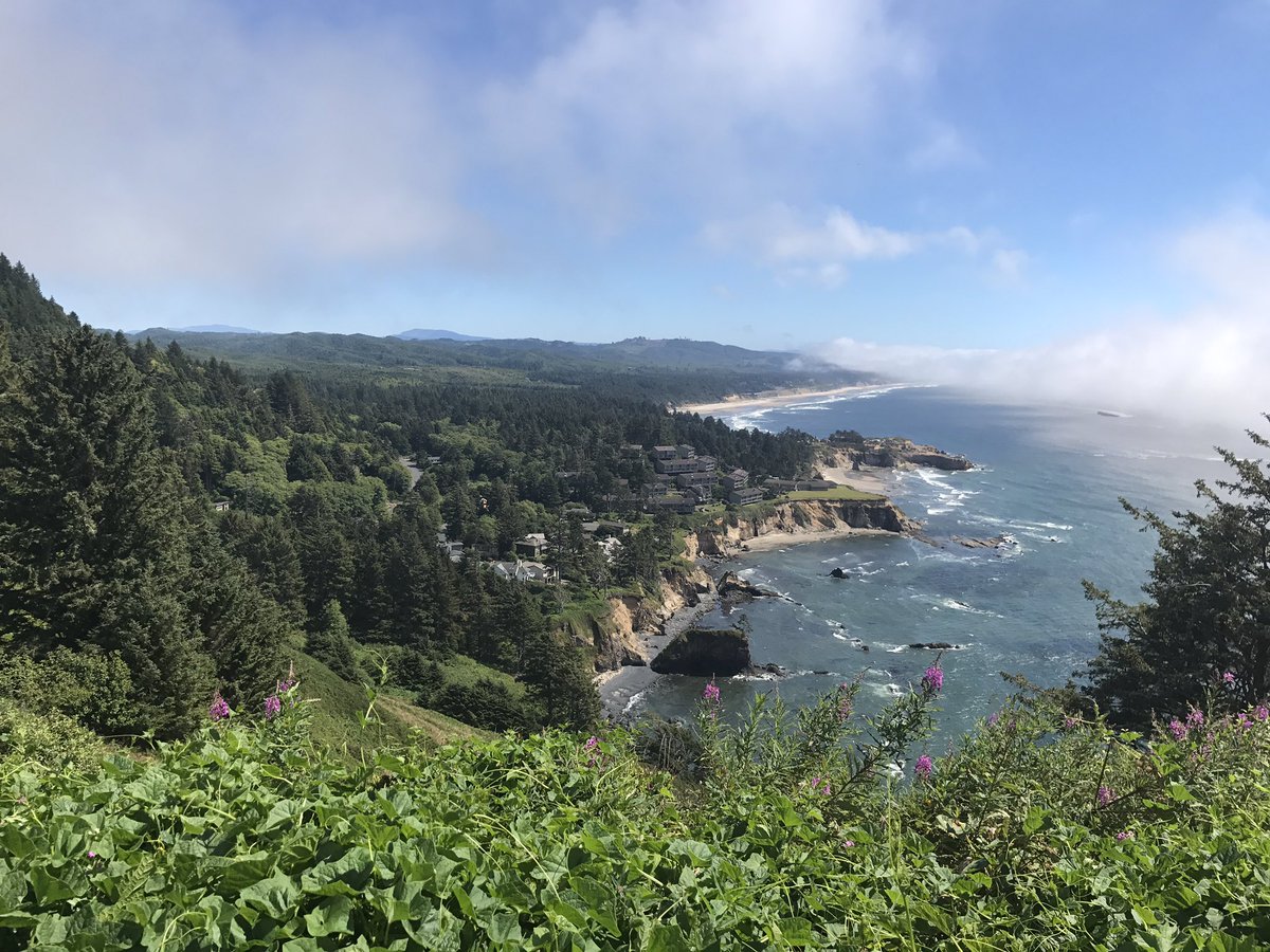 GeomorphYuggs's tweet photo. Classic uplifted wave-cut terraces #oregoncoast #facet2017 #subductionzone https://t.co/V8M3va0iLd