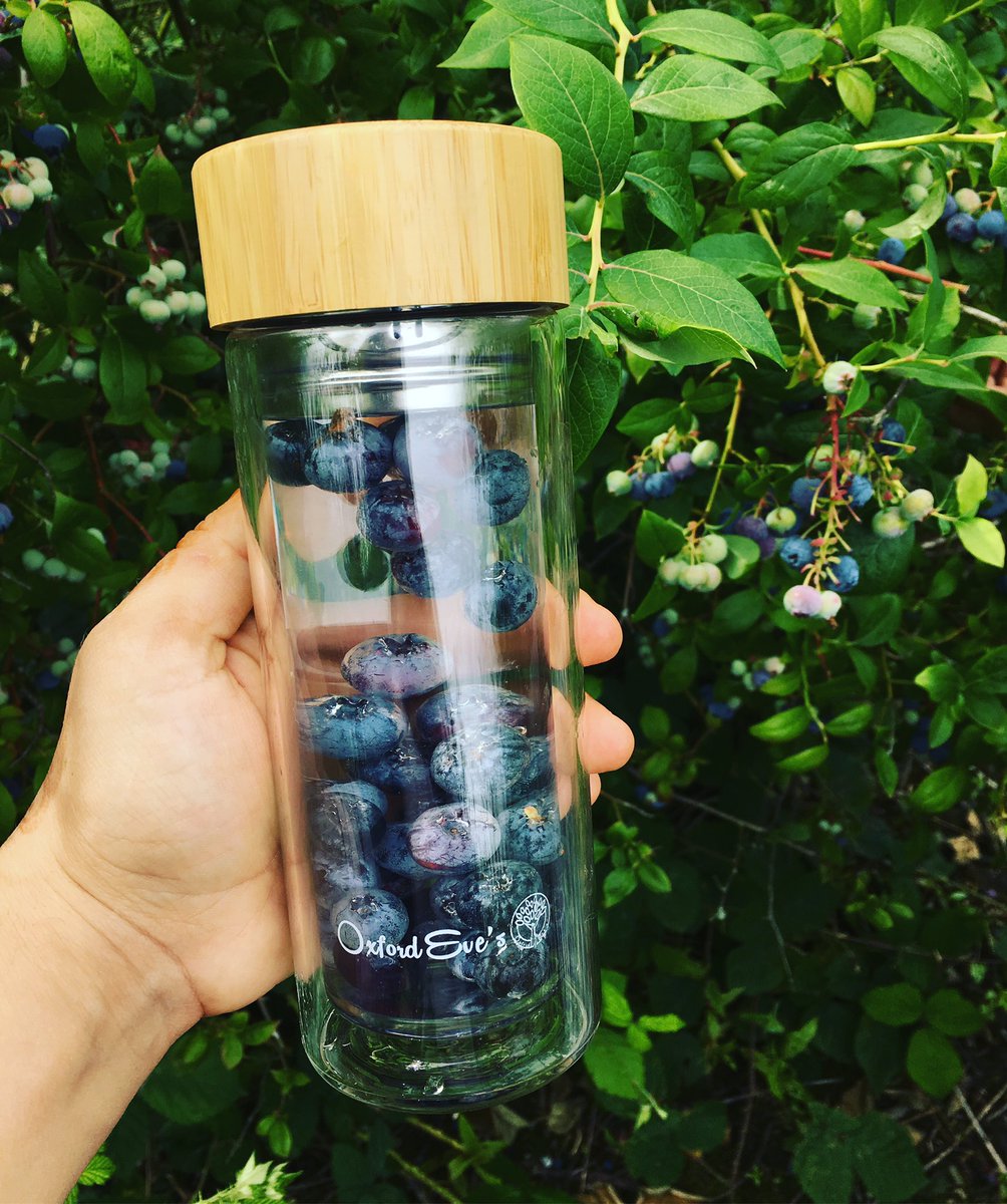 oxfordeves's tweet photo. Fresh blueberries #saturdaymorning https://t.co/ZI3Om2NQXm