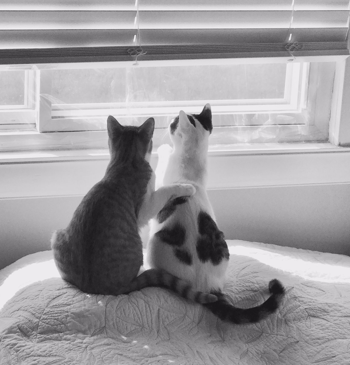 DrMHoffert's tweet photo. Day 1 of my new twitter feed with new life #lovethislife #lovethiscareer #wecare #respectandprofessionalism https://t.co/p0lCJ6e4SJ