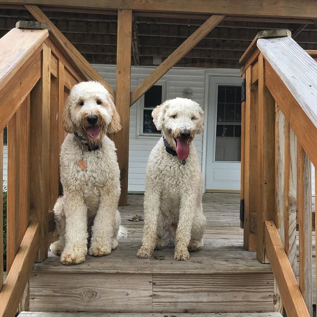 leo_doodcaprio's tweet photo. Saturday's are for the boys https://t.co/o5g2MXesQJ https://t.co/N0NaptK4vO