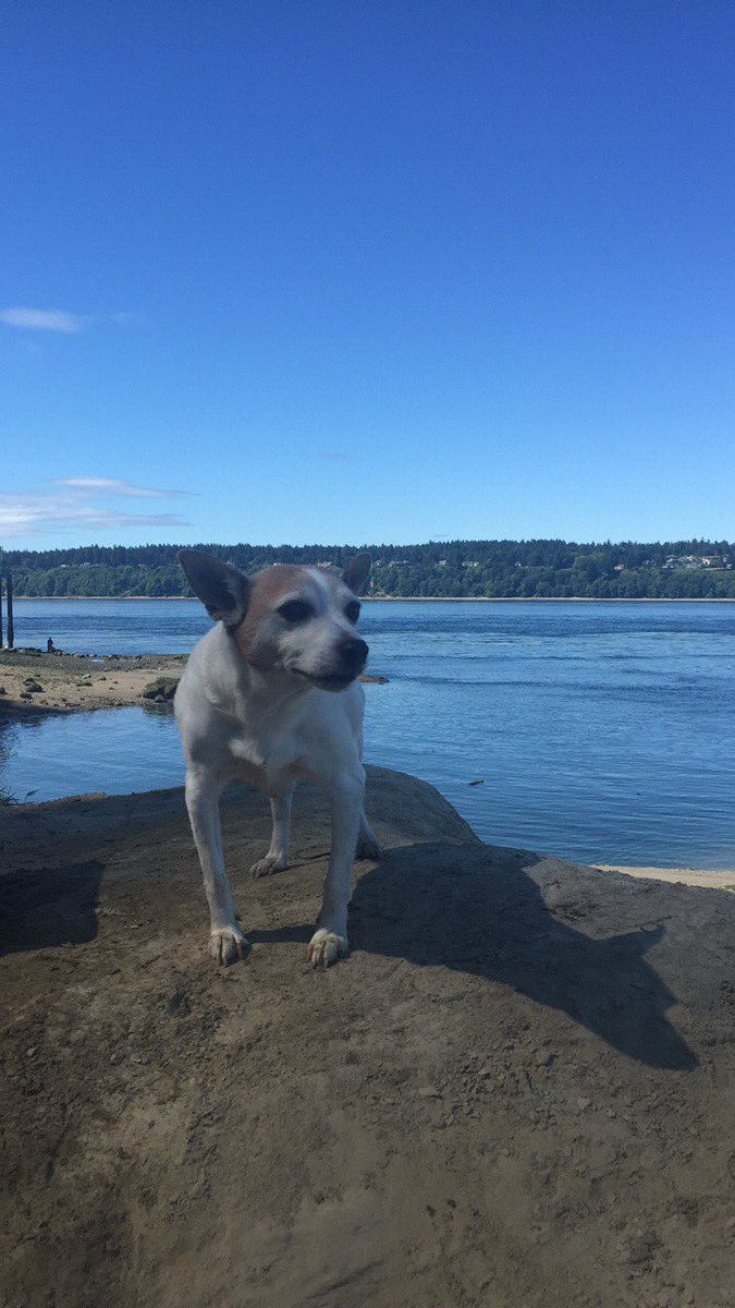 rinaddison's tweet image. Such a beautiful day for a hike☀️