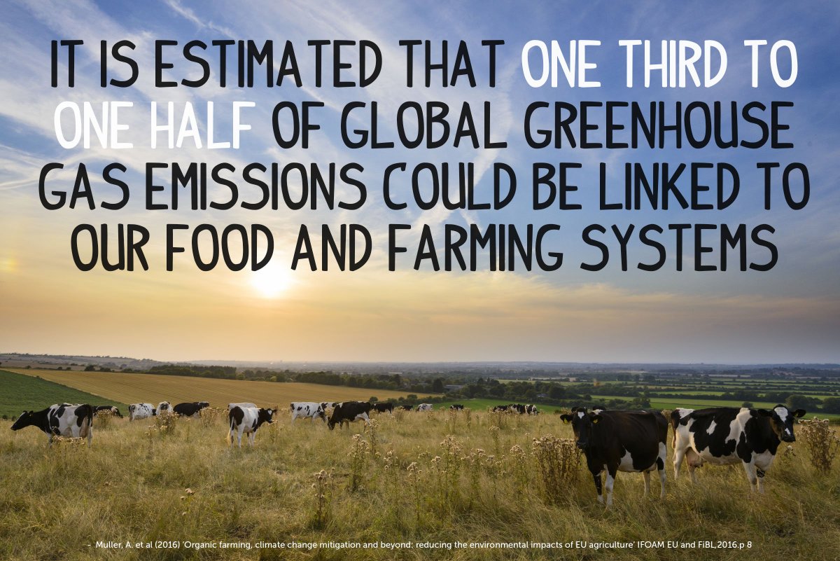 SoilAssociation's tweet image. Food and farming must play a vital role in our fight against climate change #Brexit ow.ly/RdJB30dBVfR