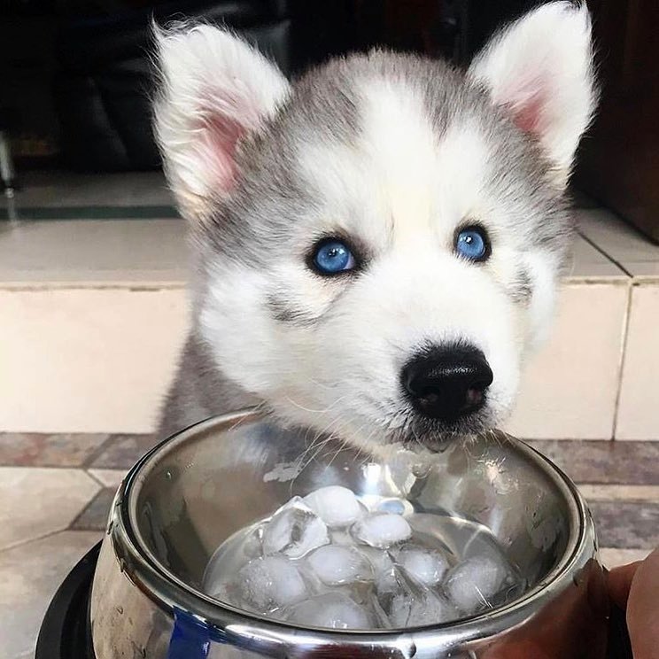 discountdogs's tweet photo. https://t.co/kIdM6fdpo3