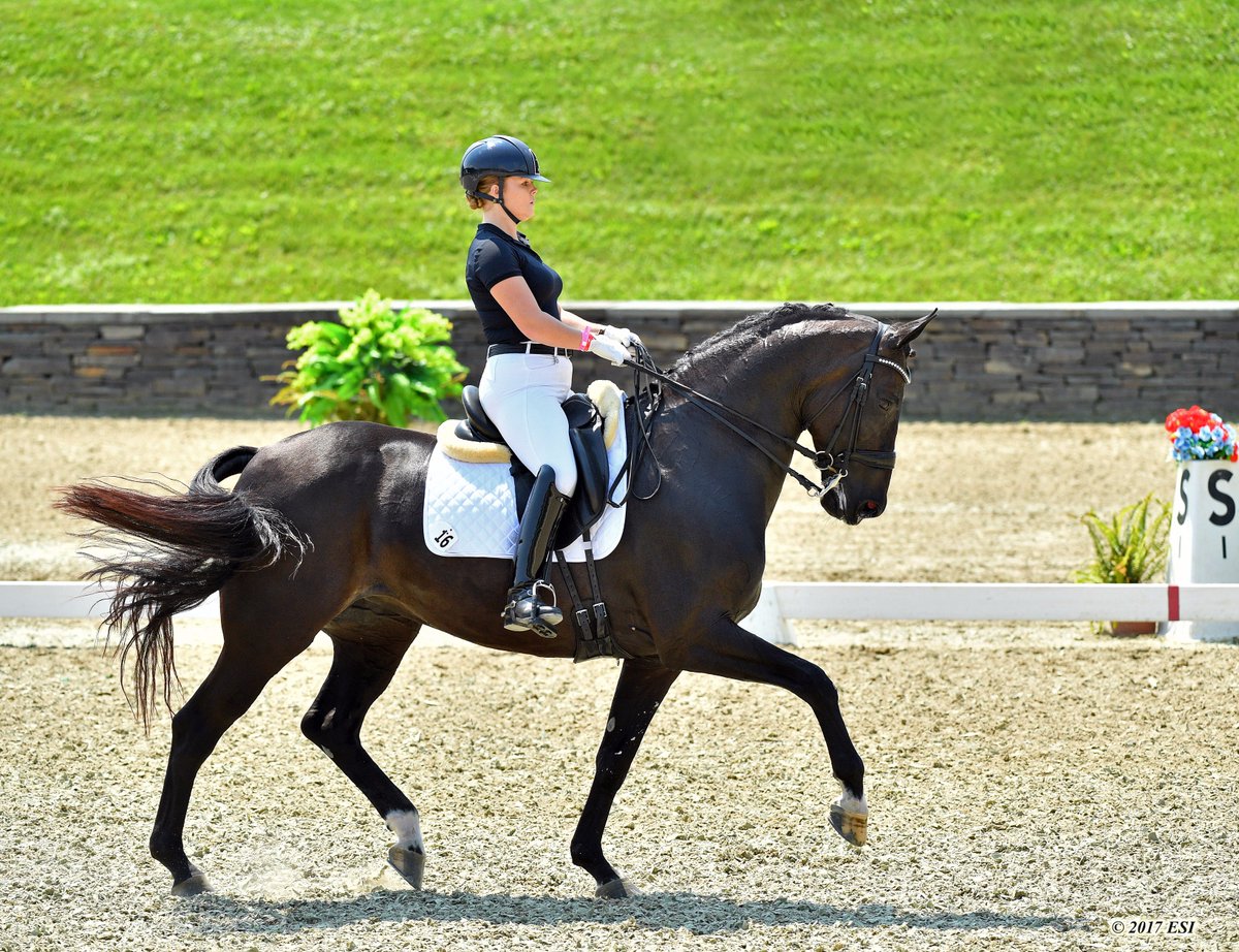 Adequan FEI North American Youth Championships tweet media