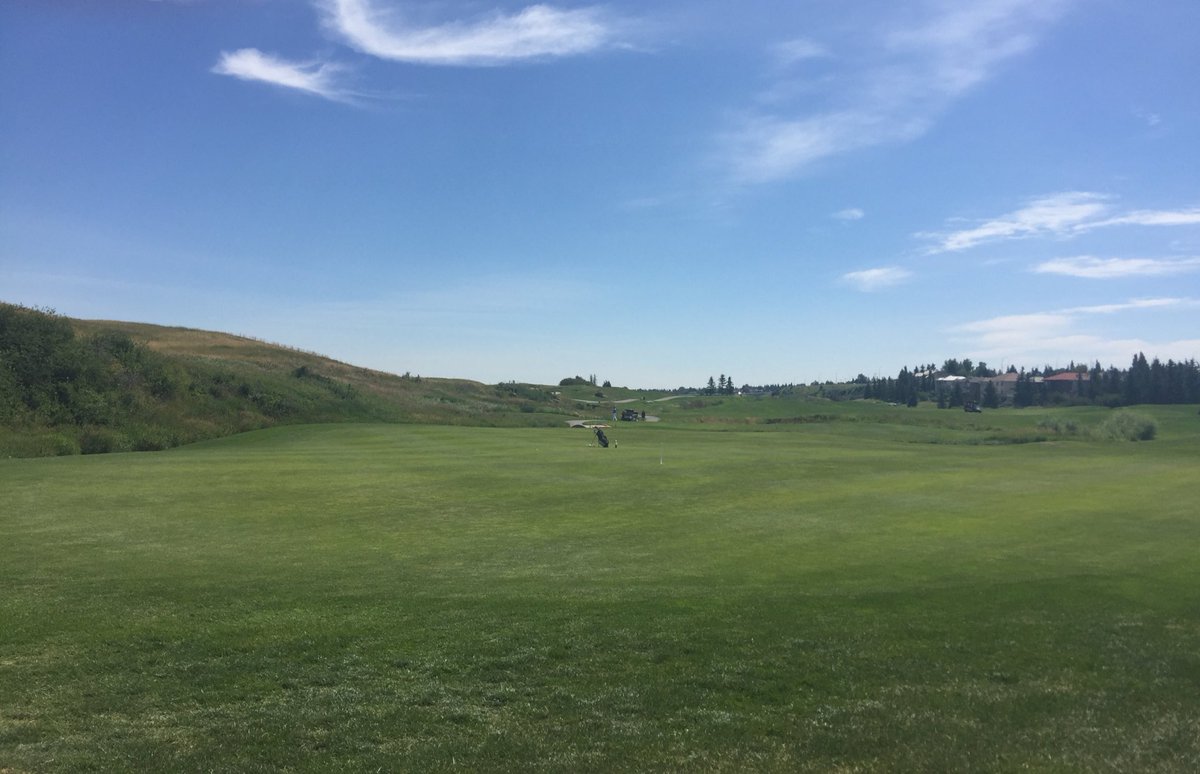 The Grizzly Paw Brewery (@thegrizzlypaw) on Twitter photo Gorgeous day for a round of golf <a href="/CountryHillsGC/">Country Hills GC</a> for the ladies open! Tasting the #shandy all afternoon! #gpaw #golf Gorgeous day for a round of golf <a href="/CountryHillsGC/">Country Hills GC</a> for the ladies open! Tasting the #shandy all afternoon! #gpaw #golf