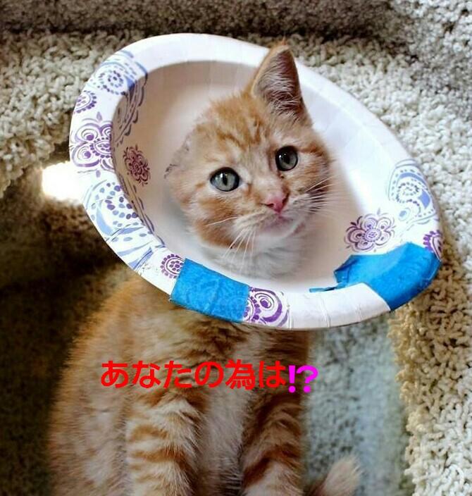 ｢あなたの為を思って｣は⁉
｢あなたの為に｣は｢自分の為｣に
相手の非を責め｢自分がｺﾝﾅﾆ｣😰
色々と力を割いてるのに貴方は
｢自分の為｣に意見を披露する❌
｢あなたの為｣は恩着せがましゎ
子育てで｢あなたの為｣もﾀﾌﾞｰ😓
ﾌﾗｽﾄﾚｰｼｮﾝが溜まるだけょ💦
私は貴方の為