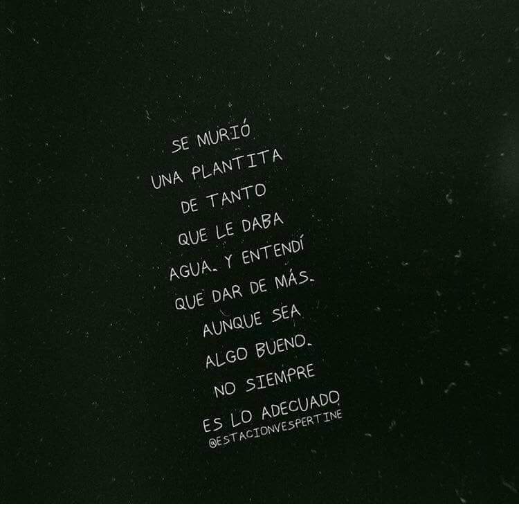 bardocortes's tweet photo. https://t.co/dP927ETKn3
