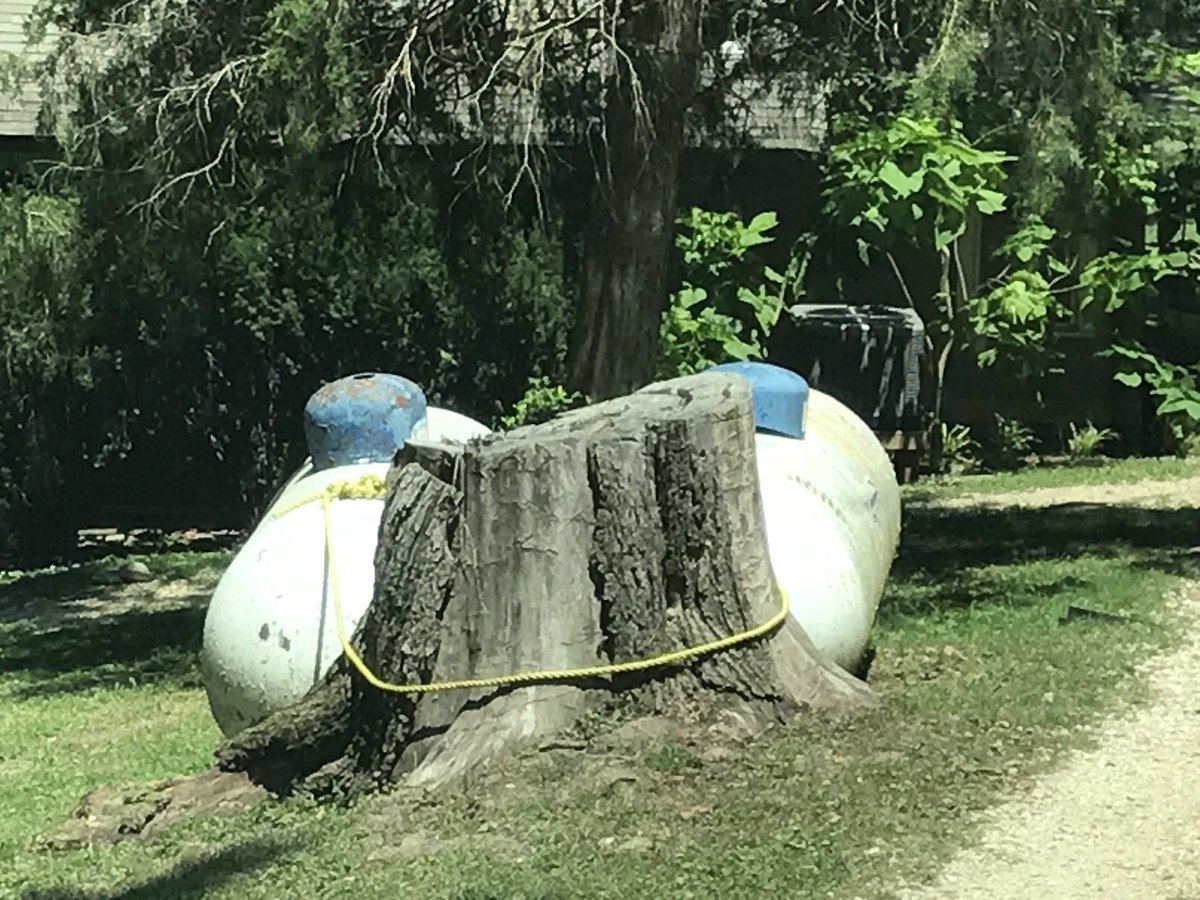 PlumberNaked's tweet photo. Giddy Up Mule!!! https://t.co/AQDzbC8Ugg