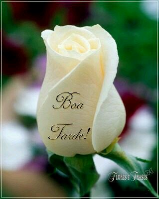 <a href="/EliLeonarda/">👄☀ Ệŀïẓäńġệŀä 🌷🌿</a> <a href="/Naldosousa55/">Naldo Sousa#Beta Lab</a> @Elioeneleonarda <a href="/mariaBetaRtSdV/">Maria Beta Lab🎀👑😉</a> <a href="/juninhobeta26/">Tim Beta</a> <a href="/mmsbahia2/">▂ ▃ ▅ ▆ 🅼🅼🅴🆂🆂🅸🅰🆂 ▆ ▅ ▃ ▂</a> @DIBITTO333 <a href="/matossantosv/">• 𝑵𝒆𝒔𝒔𝒂</a> #BetaAjudaBeta #timbetalab