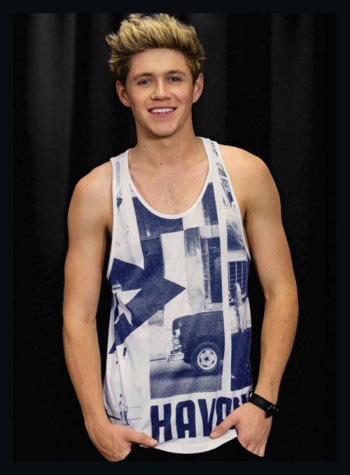 best1dquestion's tweet photo. choose a pic of niall in a tank top https://t.co/6doch5QPb7