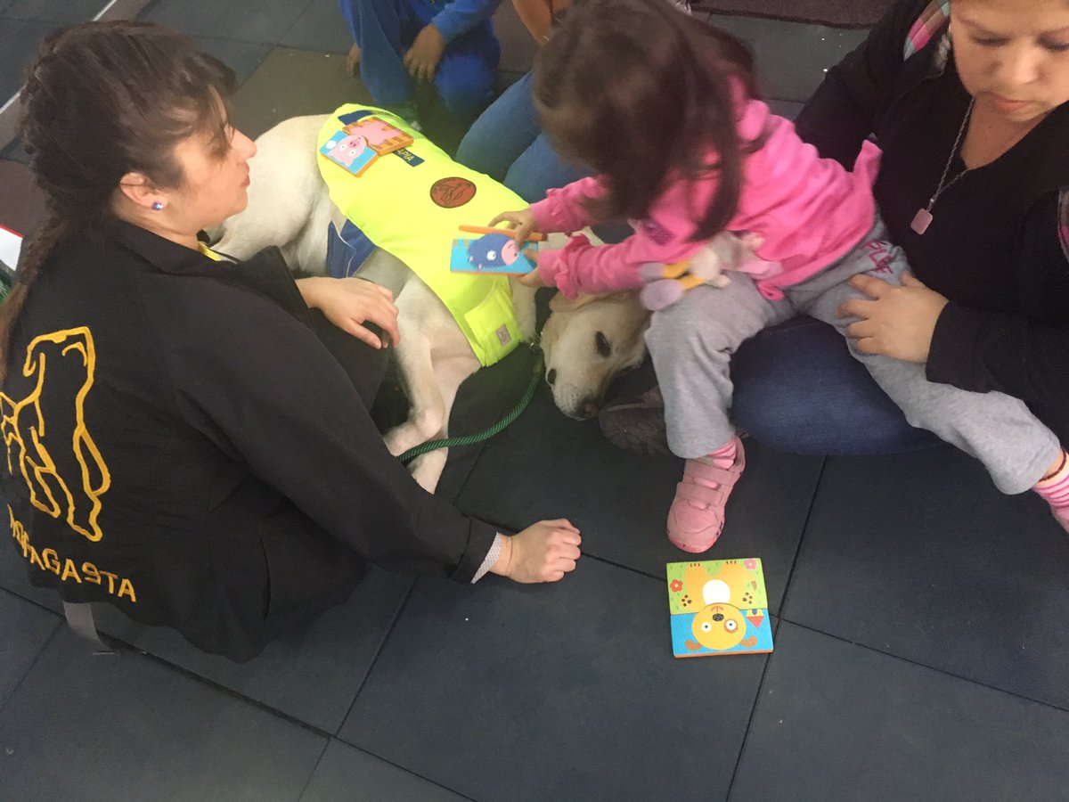 SolRomeroV's tweet photo. Levántate y actúa !! Involúcrate en los cambios   #antofagasta @YAutismo https://t.co/jJIIEbS02Y