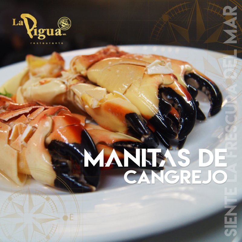 Disfruta de los platillos más frescos que el mar nos trae en Restaurant La Pigua Campeche 🌊
#ManitasDeCangrejo #LaPiguaCampeche #Mariscos 🦀