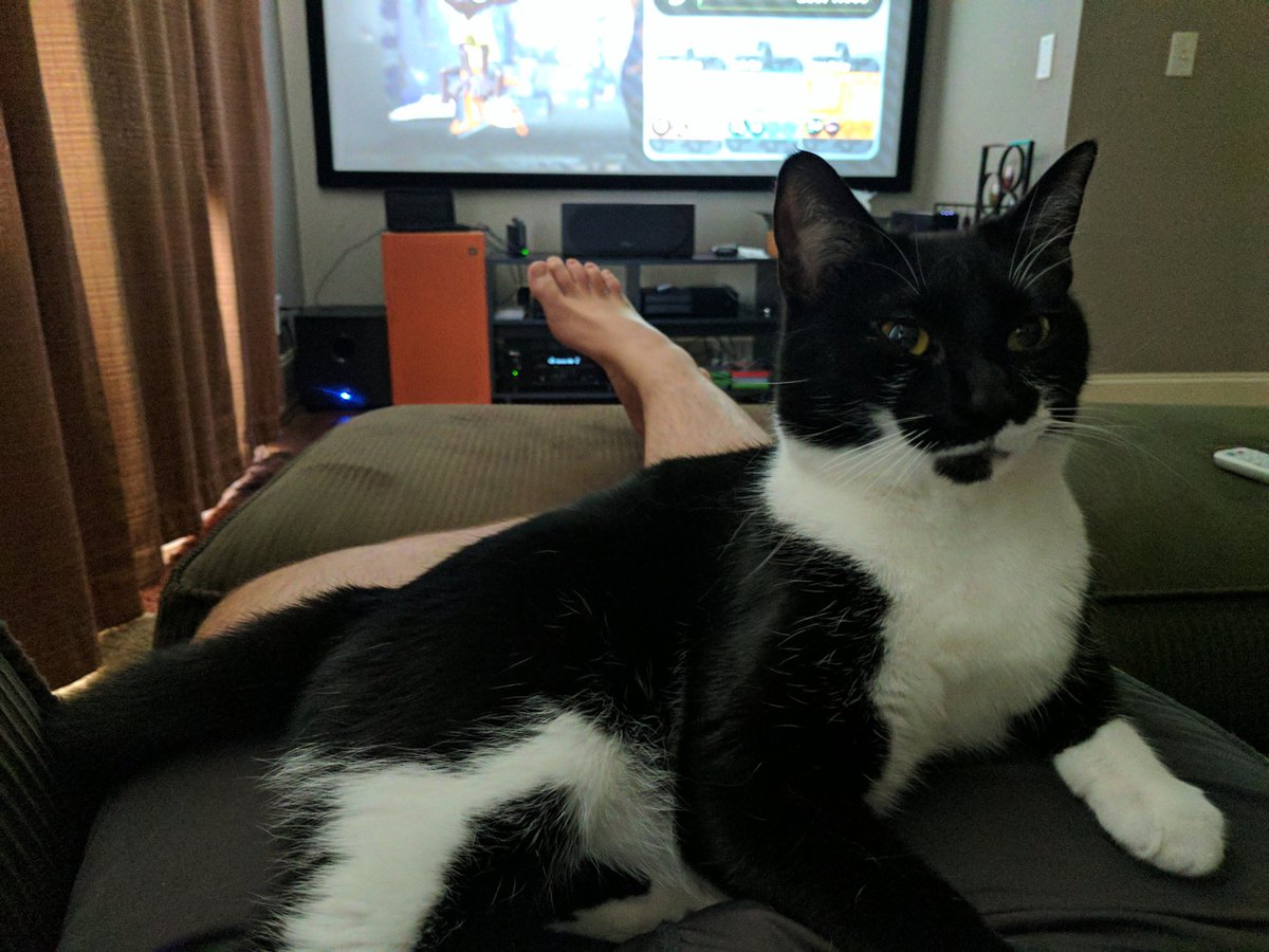 a10waveracer's tweet image. Imagine being this #coddled