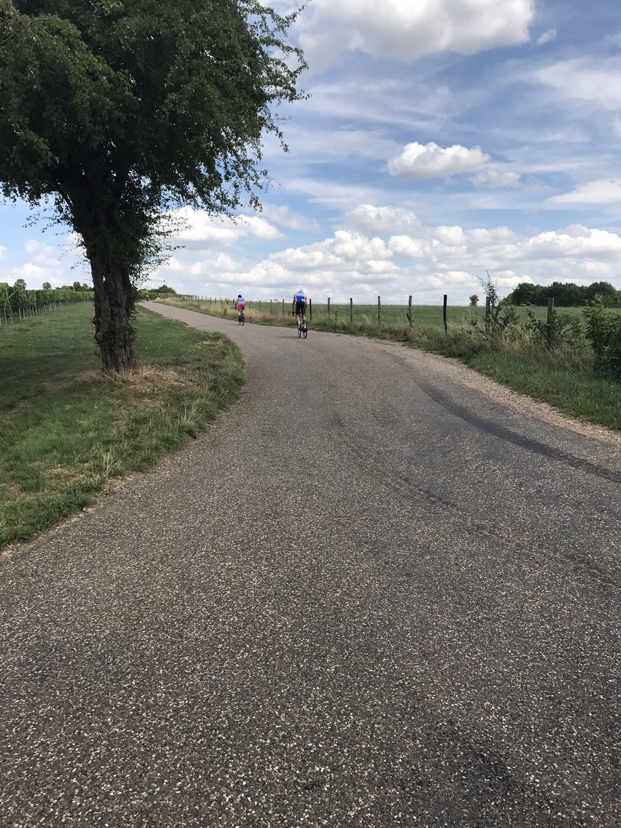 D1Fietstraining's tweet photo. Super clinic gedaan vandaag in het prachtige Limburg.klanten tevreden en leuk om te zien dat de klimtips ook echt helpen #d1fietstraining https://t.co/XVPqIeZrtC