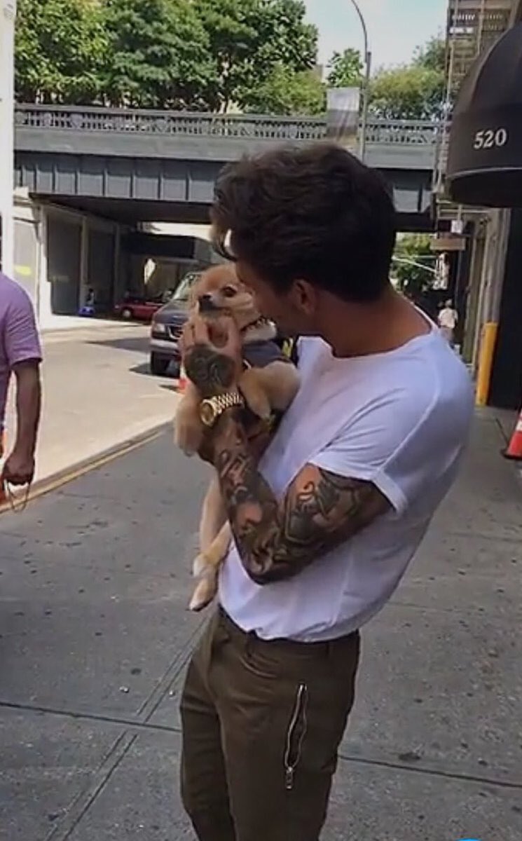 liamssdetails's tweet photo. with puppies #MTVHottest Liam Payne https://t.co/xLd4FPbecS