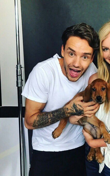 liamssdetails's tweet photo. with puppies #MTVHottest Liam Payne https://t.co/xLd4FPbecS