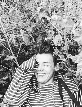 harry Styles pics tweet media
