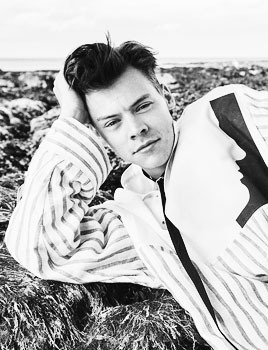 harry Styles pics tweet media