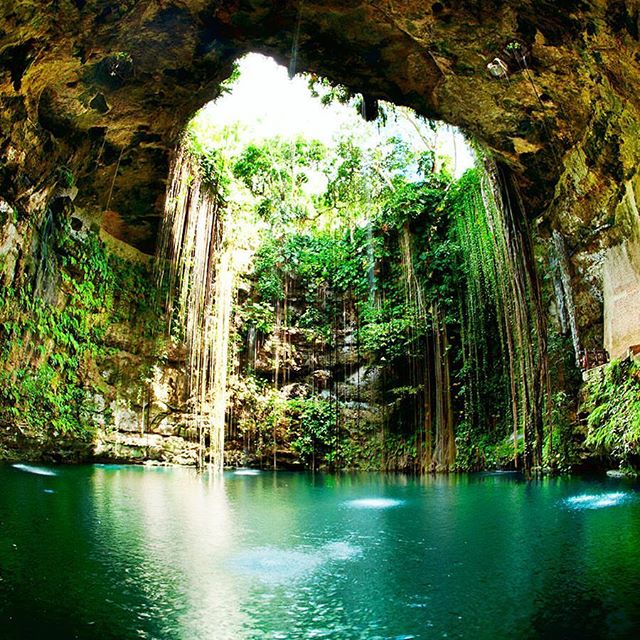 Nvr2Lte2Lve's tweet photo. Do you know that for the Maya, cenotes represented thresholds of communication with the spiritual and sacred world that lay under the surfac https://t.co/NeIyrWCZTe