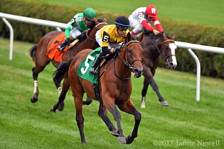 wowhorse's tweet photo. UNTAMED DOMAIN, with @jose93_ortiz up, won a nice maiden today at Saratoga for trainer @GrahamMotion, @westpointtbred & sire Animal Kingdom https://t.co/5QyLbtSiXT
