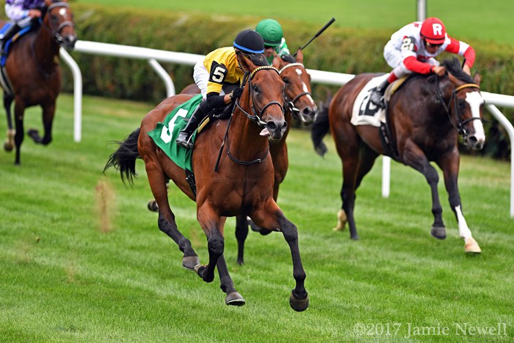 wowhorse's tweet photo. UNTAMED DOMAIN, with @jose93_ortiz up, won a nice maiden today at Saratoga for trainer @GrahamMotion, @westpointtbred & sire Animal Kingdom https://t.co/5QyLbtSiXT