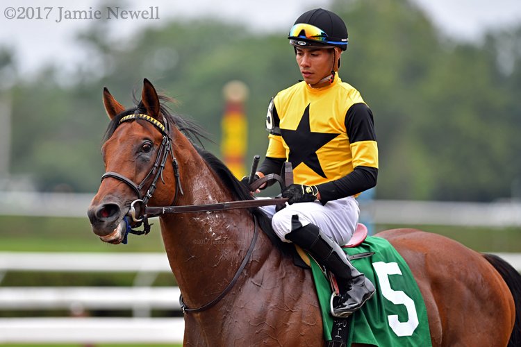 wowhorse's tweet photo. UNTAMED DOMAIN, with @jose93_ortiz up, won a nice maiden today at Saratoga for trainer @GrahamMotion, @westpointtbred & sire Animal Kingdom https://t.co/5QyLbtSiXT