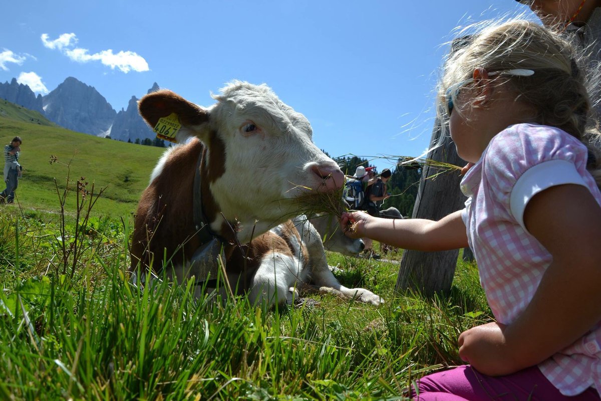 GustoDolomiti's tweet photo. L'unico #Latteinfesta ai piedi delle @DolomitesUNESCO, una meravigliosa scenografia naturale. 28-30 luglio @ApTSMart https://t.co/EbXoKkGU9S https://t.co/cgEs0quxsG