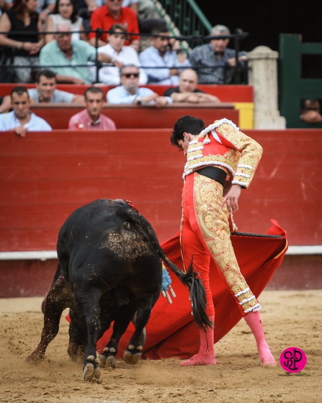 EVENMARENOSTRUM's tweet photo. Ampliamos 📸 Galeria 2⃣2⃣ Julio imágenes que hablan por si solas.
https://t.co/p3RfoskaM0 https://t.co/GBTSRID0ls