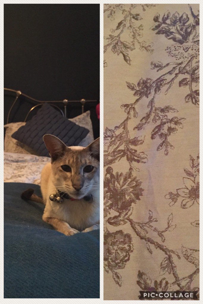 RRyan_Adv's tweet photo. Mario doing great job matched &amp; modelling new duvet set from @Tesco #HappyWeekend Great design &amp; quality! https://t.co/pJ77Eqrh8E