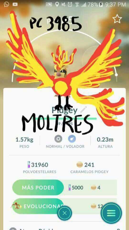 fortalezarock1's tweet photo. First legendary caught #pokemongo #pokemongofest https://t.co/2DRh2xHUzH