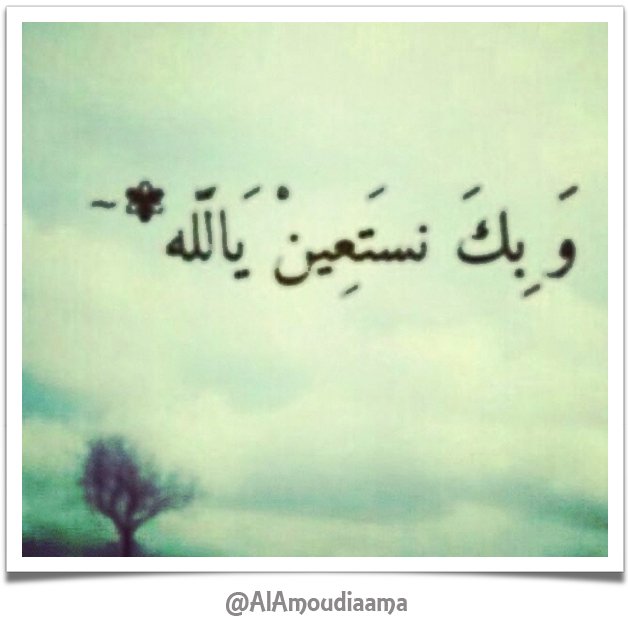 AlAmoudiaama's tweet photo. صلاة الوتر.. سورة الملك.. آية الكرسي.. الاستغفار..
#ليلة_سعيدة..
#تصبحون_على_خير.. https://t.co/L302JA70NK
