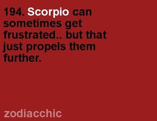 DAILY HOROSCOPES tweet media