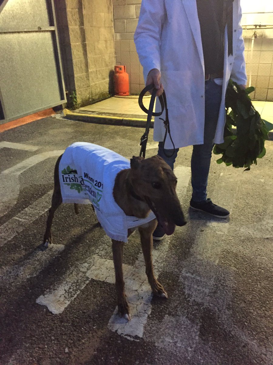 Riverside Kennels (RiversideKenne) Twitter