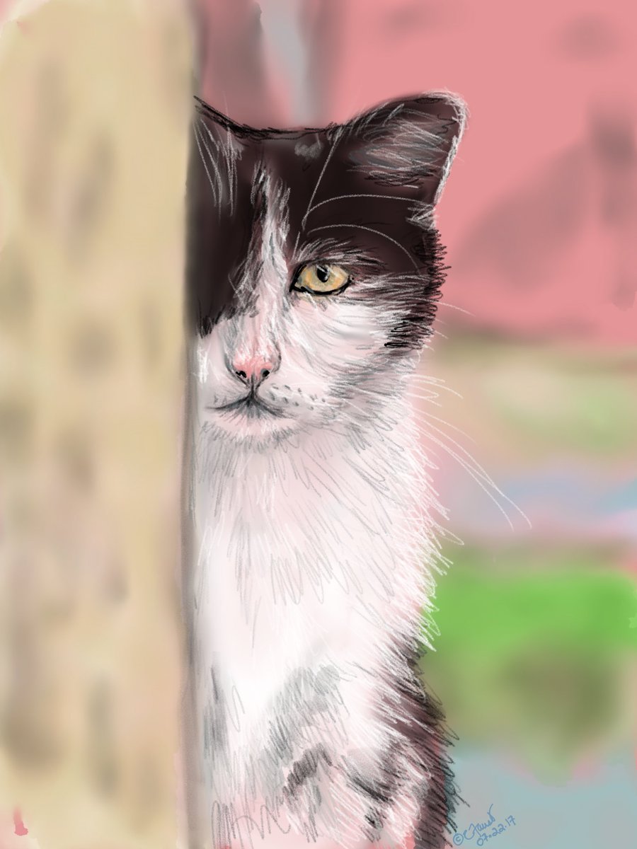 Carolef45's tweet photo. Caturday @FiftyThree @thepaperboard #madewithPaper #Caturday https://t.co/j4JWIjyxsP