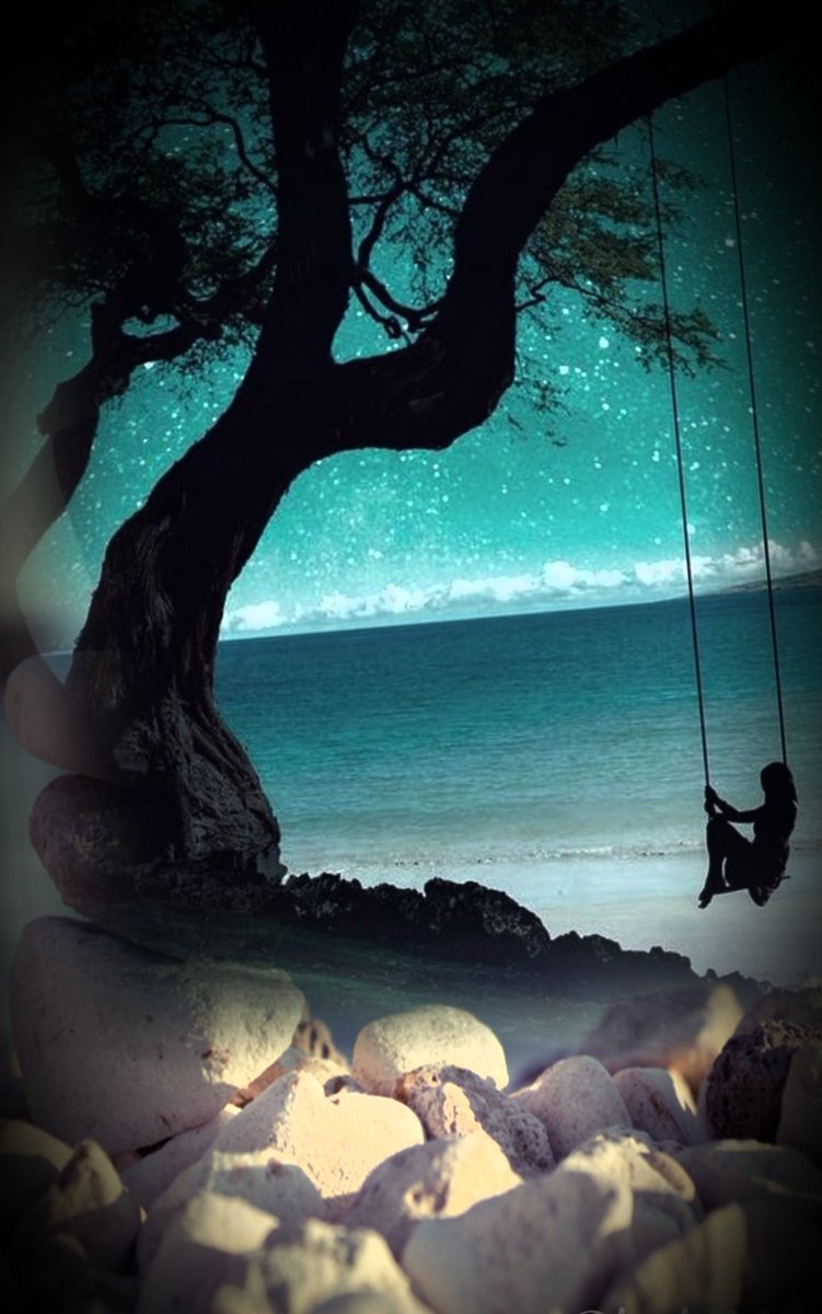 Portia Van Der Byl (@bylportia) on Twitter photo 