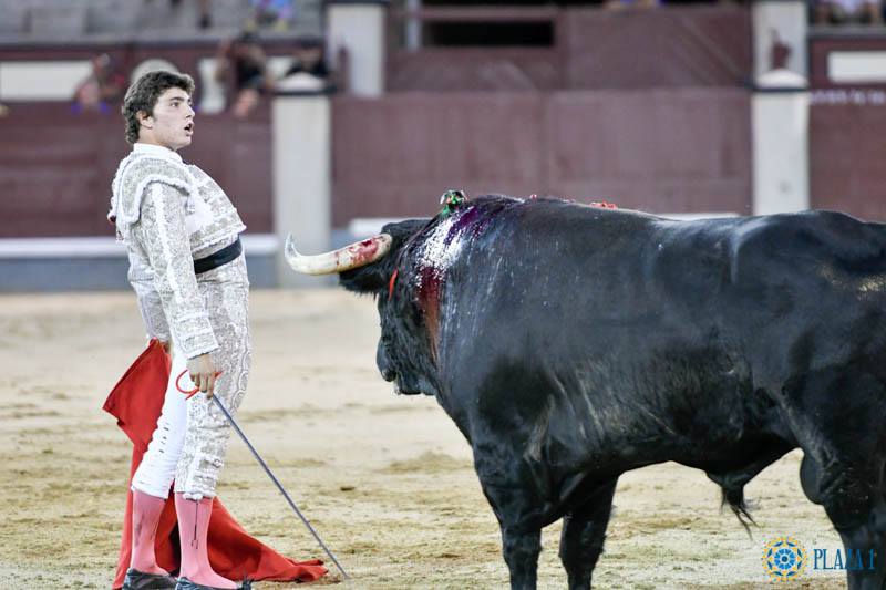 Mundotorocom's tweet photo. #FinalMadrid 'Primeros nombres propios' https://t.co/M2vxsoqFx5 https://t.co/EPAxRn4vwQ