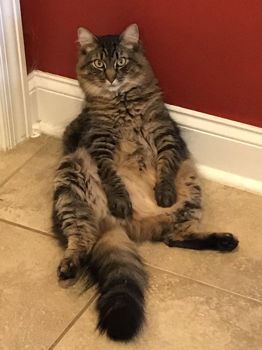 Joey hanging out