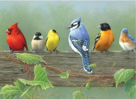 Freshwatertank's tweet photo. III. Loss of biodiversity [32-42] https://t.co/ZtpA0to5ci https://t.co/knih7XAXjW