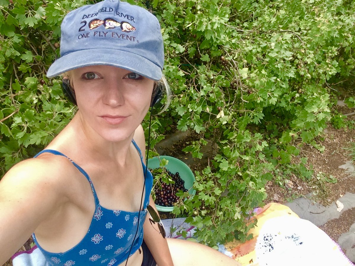 Schramm_a_lam's tweet photo. @CompleatMeadmkr No fruit here! No sweaty Schramms either. #makingmead https://t.co/rQ1zUd7tpk