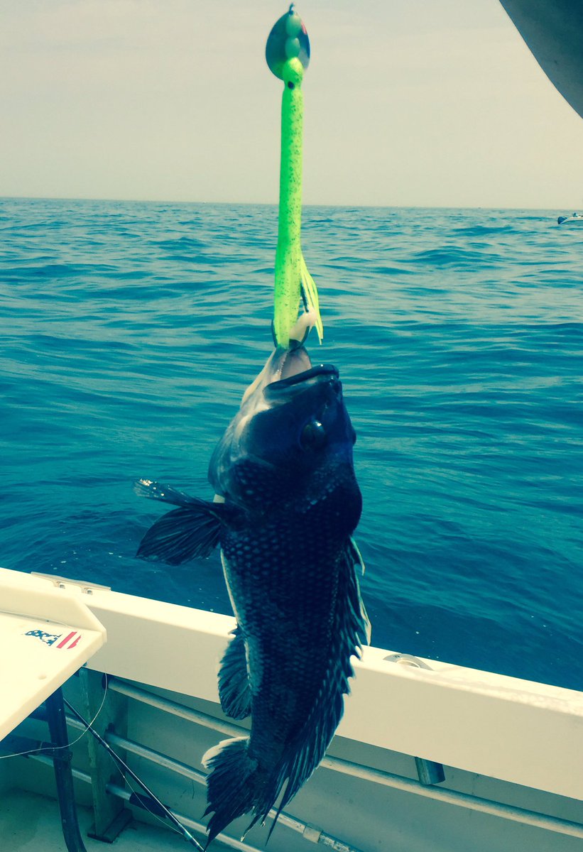thefancyfluke's tweet photo. Went to Montauk in search of Fluke...found a few knot heads instead. Back to the drawing board. #fishingislife https://t.co/fKKGk8vadH
