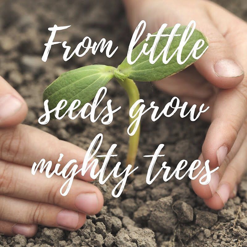 Healthy Planet US tweet media